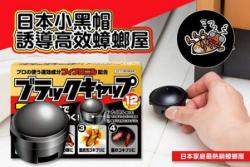 Hộp 12 viên diệt gián Nhật Bản_2