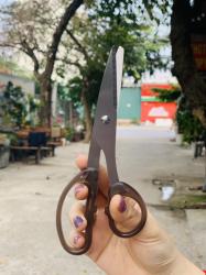 Kéo văn phòng Echo Metal 18cm_3