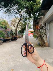 Kéo văn phòng Echo Metal 18cm_4