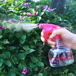 Bình xịt phun sương Seiwa Pro Heart Loven 370ml_3