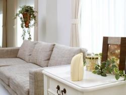 Bộ máy xịt phòng tự động Shaldan - Nature_6