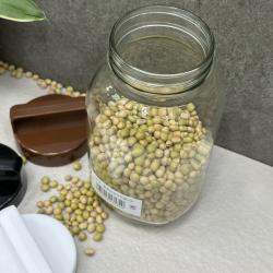 Chai thủy tinh có quai xách Echo Glass Bottle 1.0L_4