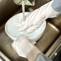 Găng tay cao su rửa bát dáng dài, bó khuỷu tay Echo 46cm_5