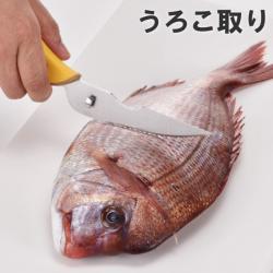 Kéo cắt đa năng Hirosho Mocha Honey_4