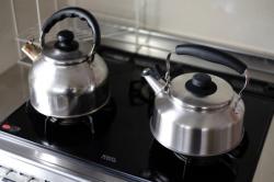 Ấm đun nước bếp từ Whistleblower Kettle 2.6L - Có còi báo sôi_18