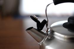 Ấm đun nước bếp từ Whistleblower Kettle 2.6L - Có còi báo sôi_9