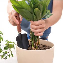 Xẻng nhỏ làm vườn Echo Metal 24.5cm #383_4