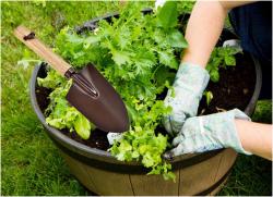 Xẻng nhỏ làm vườn (8.5 X 28cm)_2