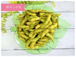 Đĩa nhựa pha lê hình chiếc lá Yamada Monstera_2