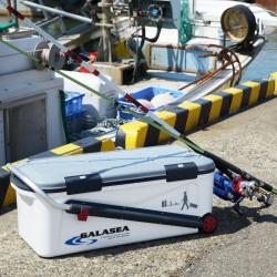 Thùng đá giữ nhiệt đa năng, tay kéo Galasea Active Shaft 50L_2