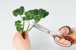 Kéo làm bếp mạ Titan Hirosho Sweet Kitchen 205mm_7