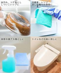 Bột tẩy rửa vết bẩn Baking Soda 240g (Jyusou)_4