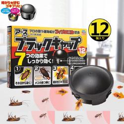 Hộp 12 viên diệt gián Nhật Bản_1