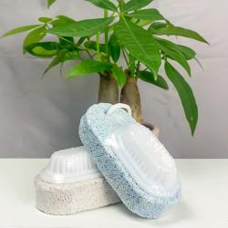 Bàn chải vệ sinh chân, tay có móc treo Echo_6