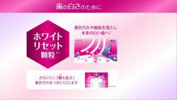 Kem đánh răng Kao Nexdent Clear Mint 120g_5