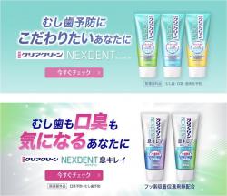 Kem đánh răng Kao Nexdent Fresh Mint 110g_7