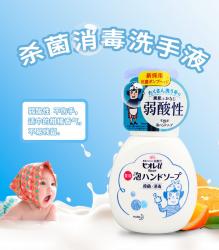 Nước rửa tay tạo bọt kháng khuẩn Bioré 250ml - Soap_15