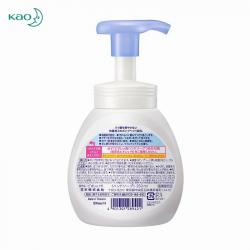 Nước rửa tay tạo bọt kháng khuẩn Bioré 250ml - Soap_11