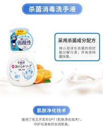 Nước rửa tay tạo bọt kháng khuẩn Bioré 250ml - Soap_16