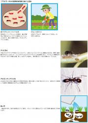 Thuốc diệt kiến 3 tác dụng không mùi Kiyo Pyrethrum 180g_4