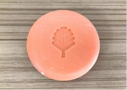 Xà phòng rửa tay dược liệu S-Pina 100g - Hương trái cây_10