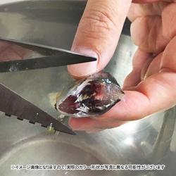 Kéo nhà bếp Sitra 5 in1 mạ titan tháo rời - Màu đen_8