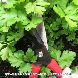 Kéo nhà bếp Sitra 5 in1 mạ titan tháo rời - Màu đen_7