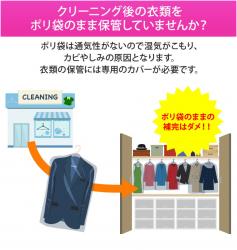 Set 06 túi bọc quần áo treo tủ chống bụi, chống côn trùng Towa Sangyo_6