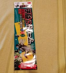 Miếng dính bẫy côn trùng 2 mặt Sanada Seiko_3