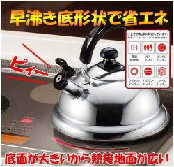 Ấm đun nước bếp từ cao cấp Quick One 2.5L_2