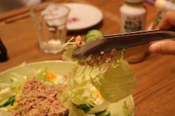 Kẹp gắp inox đa năng Echo Hand Fit 185mm_7