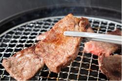 Kẹp gắp inox đầu nhỏ Echo 275mm_2