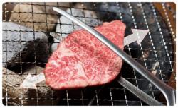 Kẹp gắp inox đầu nhỏ Echo 275mm_3