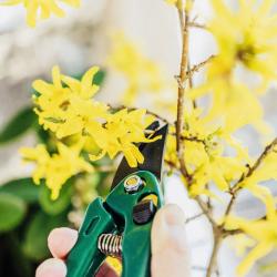 Kéo cắt tỉa cành cây Echo Metal 185-40mm_6